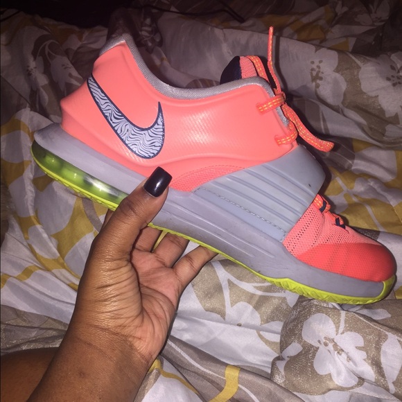 kd's - Picture 2 of 2