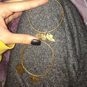 2 Alex and Ani braclets