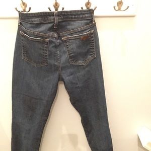 Joe's Skinny Ankle Jeans