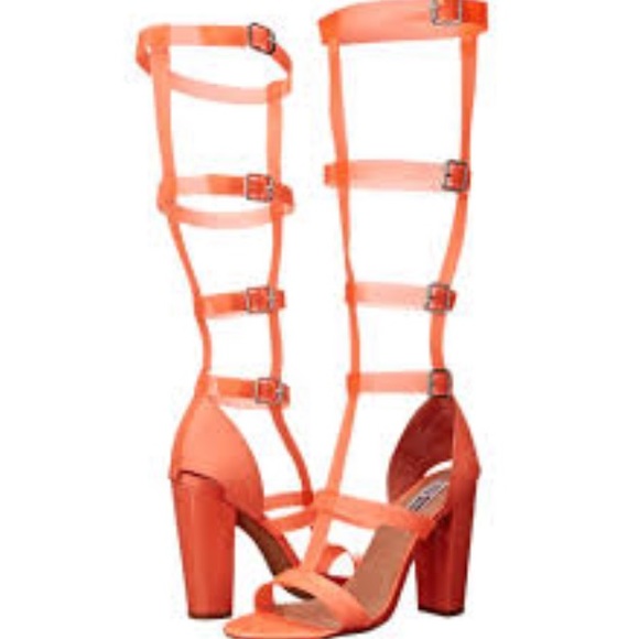 Iggy Azalae x Steve Madden gladiator sandals