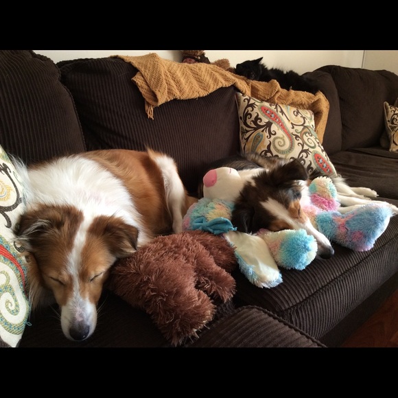 🌟Bookmark me!🌟 - Picture 4 of 4