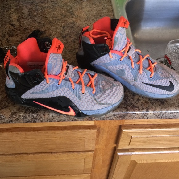 Lebron James Nike shoes