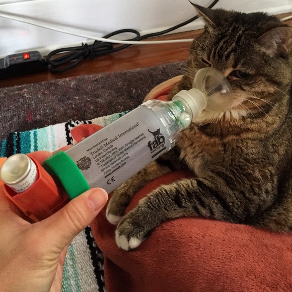 Ur Purchases ARE making a Difference! Thank U! 😻 - Picture 2 of 3