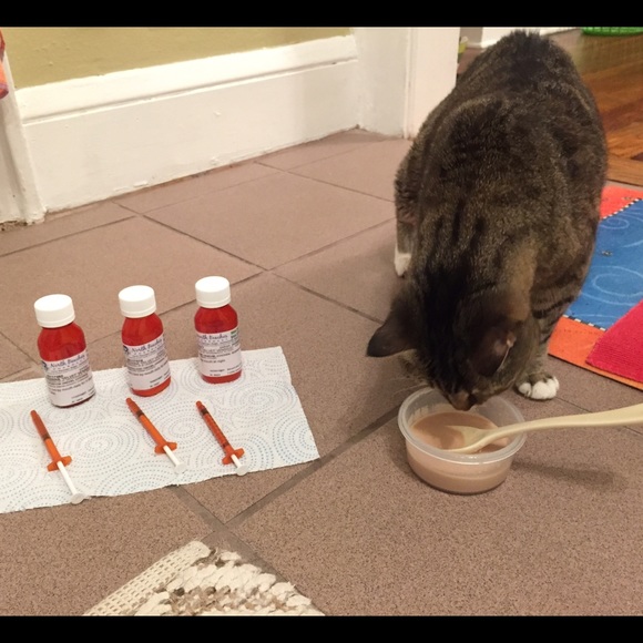 Ur Purchases ARE making a Difference! Thank U! 😻 - Picture 3 of 3