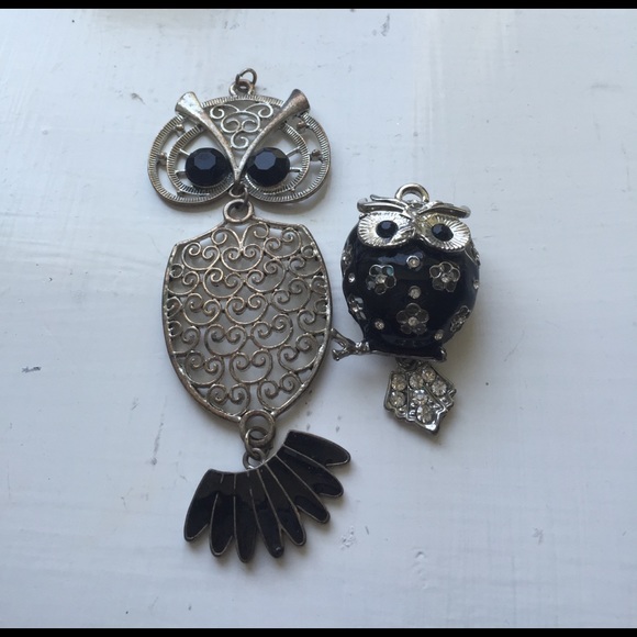 Tilly's Jewelry - 2 Owl Necklace Pieces