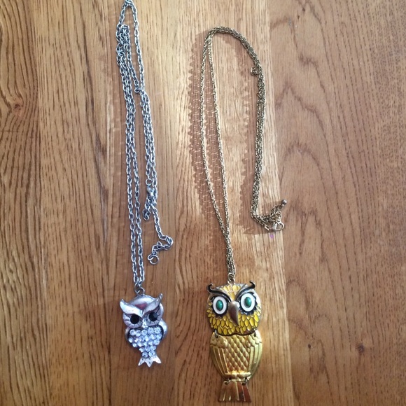 ‼️PRICE REDUCED ‼️ Owl necklace-long