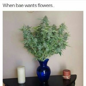 Meet your Posher, Camilo