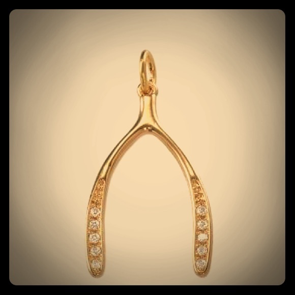 Stella and Dot Wishbone Charm