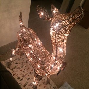 Meet your Posher, Zhi