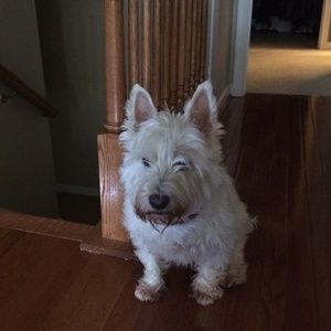 Meet your Posher, Rebecca