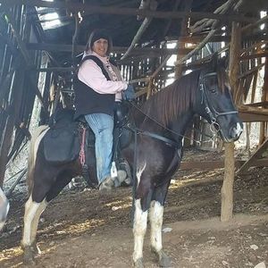 Meet your Posher, Sandy