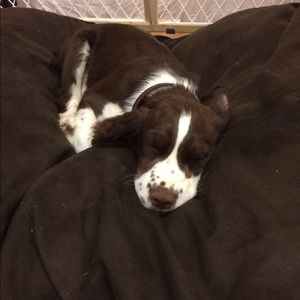 Meet your Posher, Sami