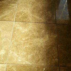 Meet your Posher, Daisy