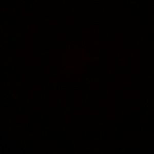 Meet your Posher, Desiree