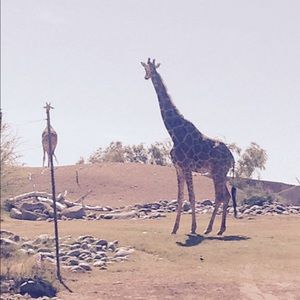 Meet your Posher, Kate