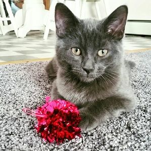 Meet your Posher, Lexi