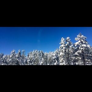 Meet your Posher, Nichole