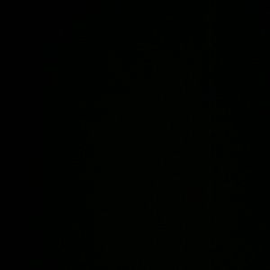 Meet your Posher, Apral