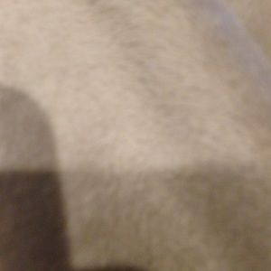 Meet your Posher, Maggie