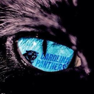 Meet your Posher, Carmen