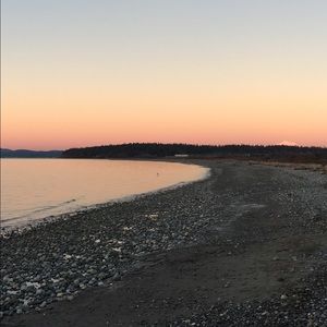 Meet your Posher, Callie