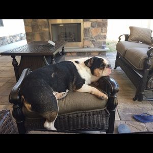 Meet your Posher, Jodi