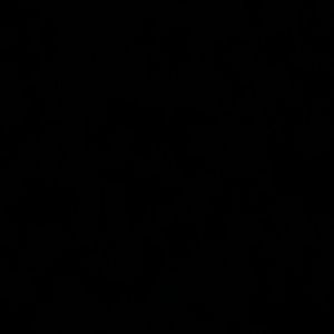 Meet your Posher, Jermaine