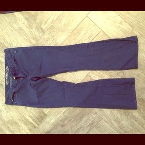 Express Blue Bootcut Pants