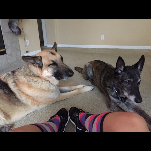 Meet your Posher, Stephanie - Picture 4 of 4