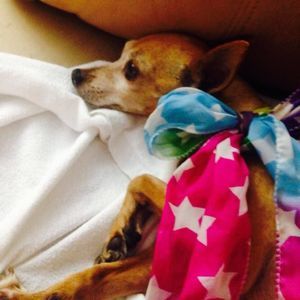 Meet your Posher, Nicole