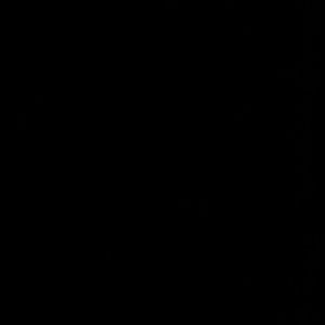 Meet your Posher, Jada