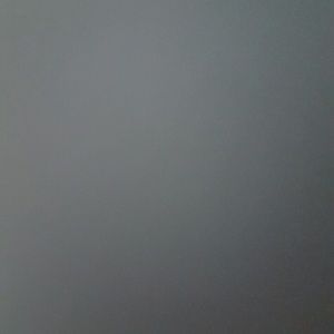 Meet your Posher, Wyatt