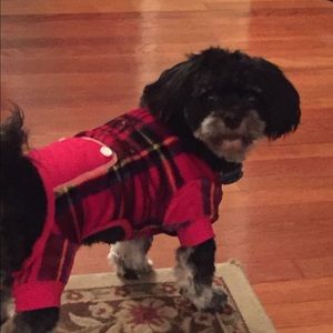 Meet your Posher, Janice