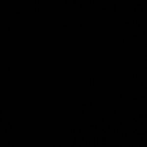 Meet your Posher, Joyce