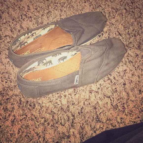 Grey Toms