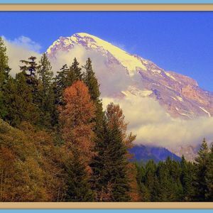 Meet your Posher, Sue