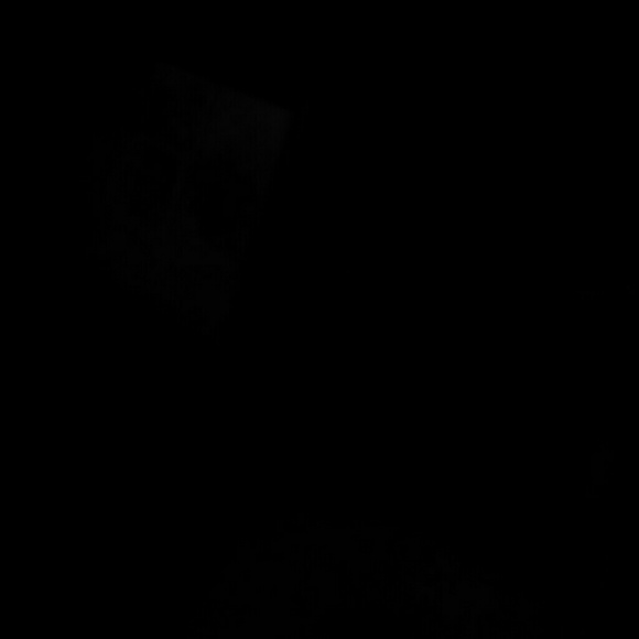 Meet your Posher, Agatha - Picture 1 of 1