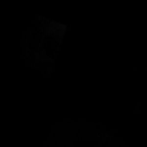 Meet your Posher, Agatha