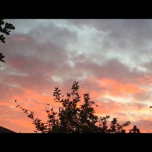 Meet your Posher, Mel