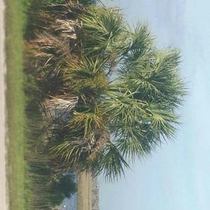 Meet your Posher, Ben