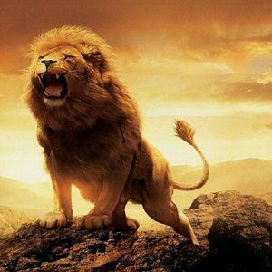 Meet your Posher, Corey