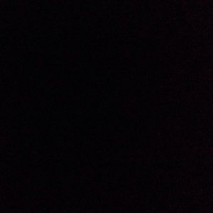 Meet your Posher, Ivy