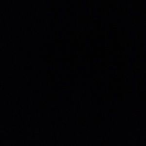 Meet your Posher, Lilly