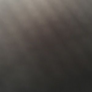 Meet your Posher, Shaunti