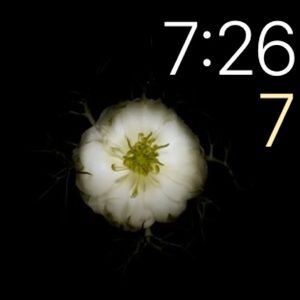 Meet your Posher, Angel