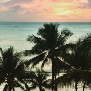 Meet your Posher, Adrianne