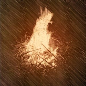 Meet your Posher, Abbie