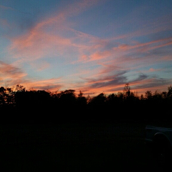 Meet your Posher, Noah - Picture 1 of 1