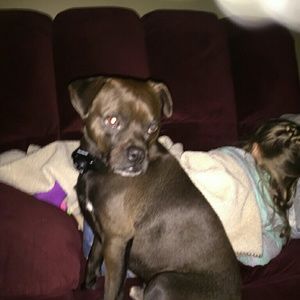 Meet your Posher, Maria