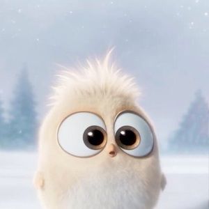 Meet your Posher, Caitlin